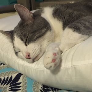 Meet your Posher, Olivia